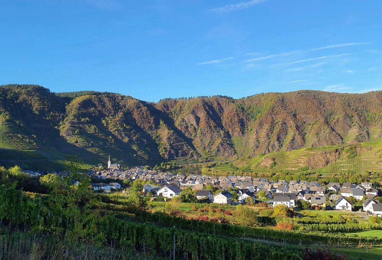 Attraktive Wohnung-Elztalidyll-Zwischen Mosel,Nuerburgring Und Burg Eltz Kollig Exterior foto